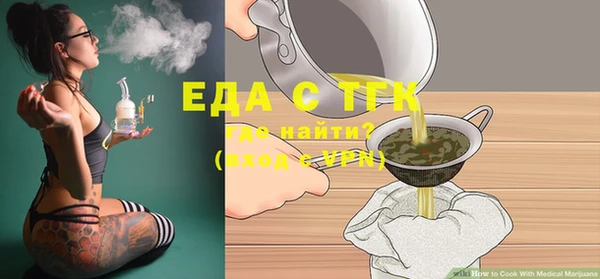 индика Усинск