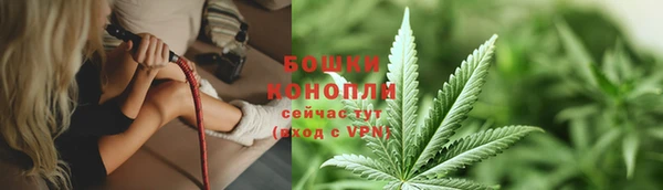 твердый Горнозаводск