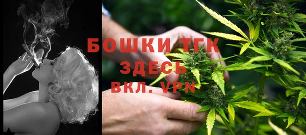 твердый Горнозаводск