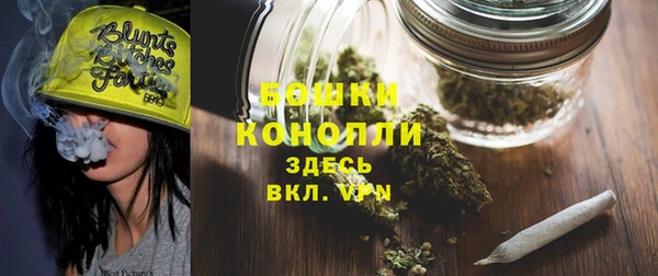 первитин Горняк