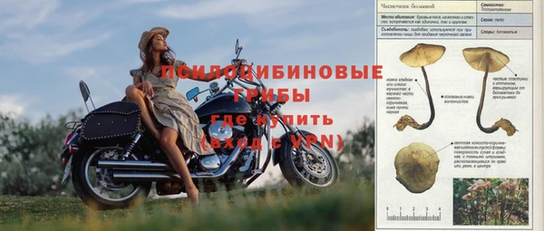 твердый Горнозаводск